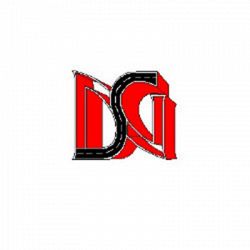Di Giusto Strade S.r.l. logo