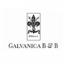Galvanica B & B logo