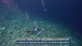 Maldive, cinque italiani morti durante un'immersione
