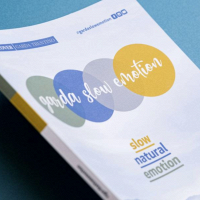 GRAFICA 5 DI FRUNER ROBERTO & C. S.N.C FOTO HP PGOL 400