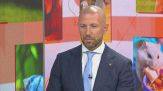 Chirurgia mini invasiva nel gatto