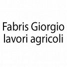 Fabris Giorgio Lavori Agricoli
