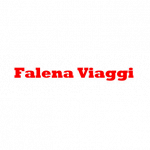 Falena Viaggi