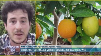 Influencer col pollice verde: i consigli arrivano dal web