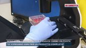 Roma, dal laboratorio che produce carne coltivata