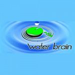 Water Brain