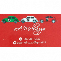 A.S.G.- Melluzzo Auto logo