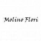 Molino Flori