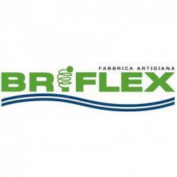 Briflex logo