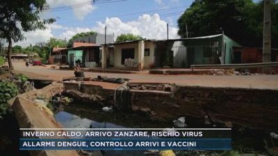 Allarme dengue, controllo arrivi e vaccini