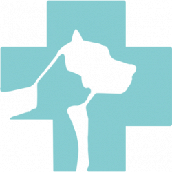 Amici Più - Dr.ssa Barbara Barneschi - Ambulatorio Veterinario logo