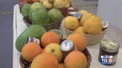 Gusto Verde: A Napoli il salone della dieta mediterranea