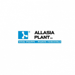 Allasia Plant logo