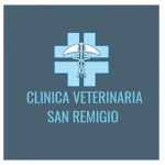 Clinica Veterinaria S. Remigio