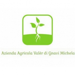 Azienda Agricola Valèr logo