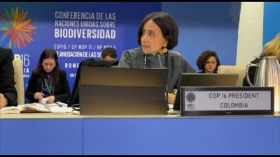 Cop16.2 sulla Biodiversità, dopo flop in Colombia si riparte a Roma