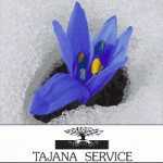 Tajana Service Sas