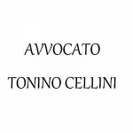 Cellini Avvocato Tonino