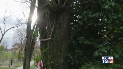 La superperizia sulla morte di Liliana