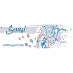 Autonoleggio Senesi Ncc logo