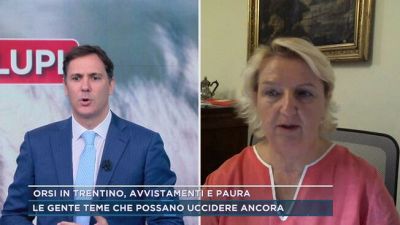 Orsi in Trentino, avvistamenti e paura: parla Franca Penasa