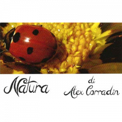 Natura logo