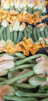 COOPERATIVA ORTOFLOROFRUTTICOLA ANDORESE zucchini semi