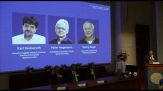 Premio Nobel per la medicina a tre scienziati per studio sul cervello