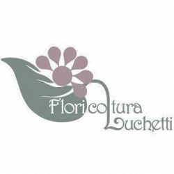 Vivaio Luchetti logo