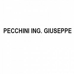 Pecchini Ing. Giuseppe logo
