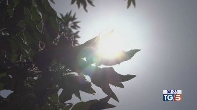 Ancora caldo record 25 città bollino rosso