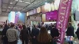 Gusto DiVino: Olio al Vinitaly