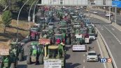 Domani trattori a Roma Governo: ridurremo tasse