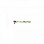Meola Ingross - Viticoltura - Enologia