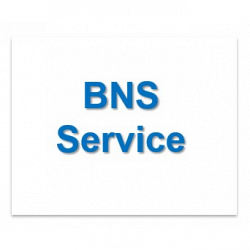 Bns Service logo