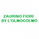 Zaurino Fiori By L'Olmocolmo