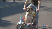 E con le cargo bike un trasporto sostenibile