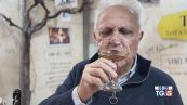 Vinitaly, viaggio fra le eccellenze