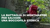 La battaglia di Montmartre per salvare una bocciofila storica