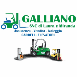Galliano Michele SNC logo