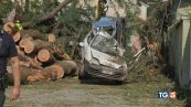 Pioggia, grandine e afa. Sos: i campi hanno sete