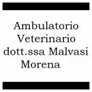 Ambulatorio Veterinario Dott.ssa Malavasi Morena