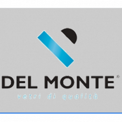 Vetreria del Monte Srl logo