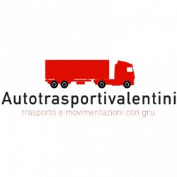 Autotrasporti con Gru Valentini S.r.l. logo