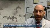 Dengue, come fermare la diffusione dei contagi ?