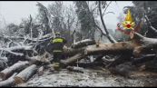 Maltempo, 500 gli interventi dei vigili del fuoco in Emilia Romagna
