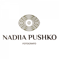 Studio Pushko logo