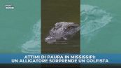 Paura in Mississippi: incontro tra golfista e alligatore