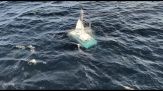 Le immagini della barca a vela alla deriva nel Golfo di Biscaglia