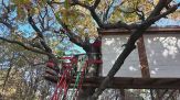Dalla casa nel bosco a quella sull'albero, a Palmoli una coppia vive sui rami
